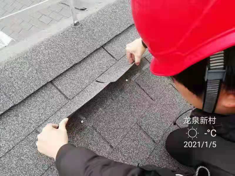 香港免费全年资料大全