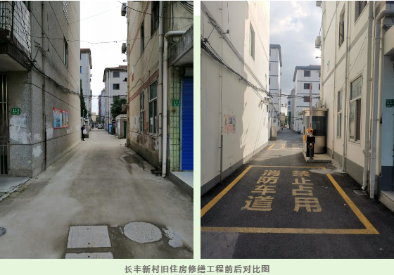 香港免费全年资料大全