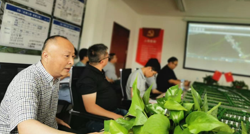 香港免费全年资料大全