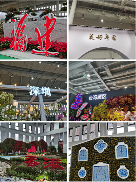 香港免费全年资料大全
