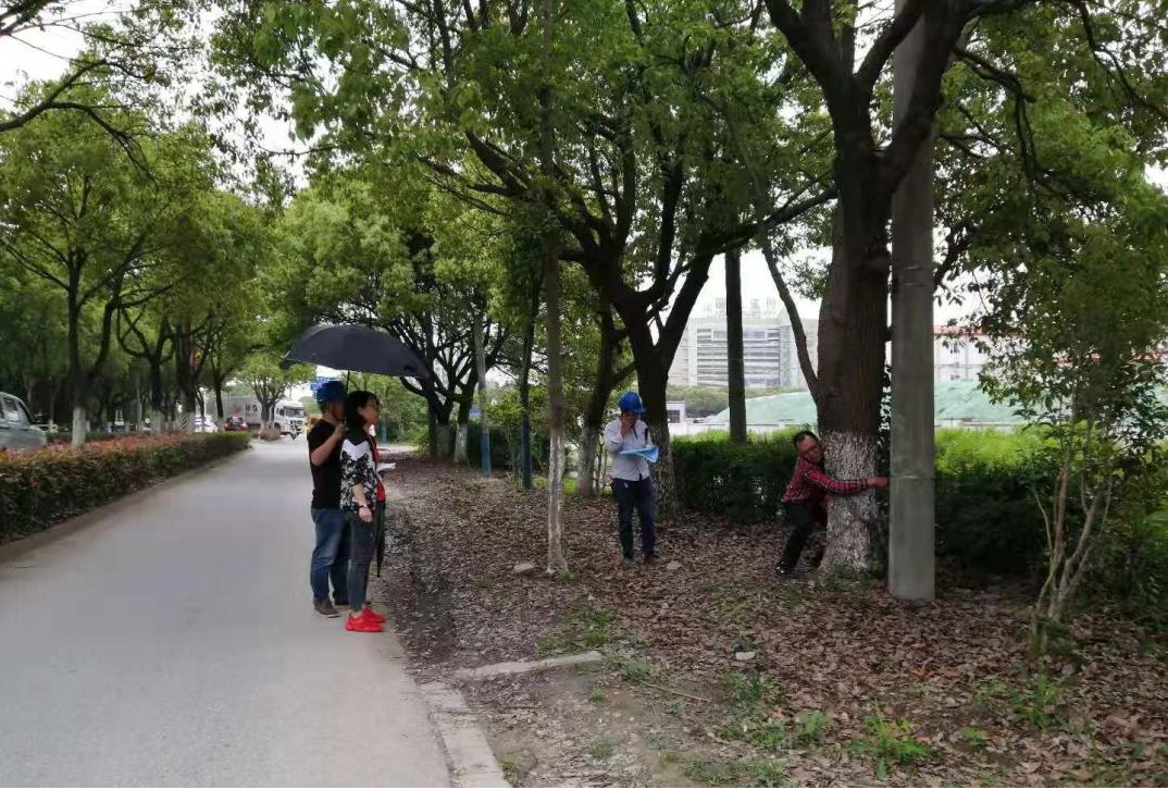 香港免费全年资料大全