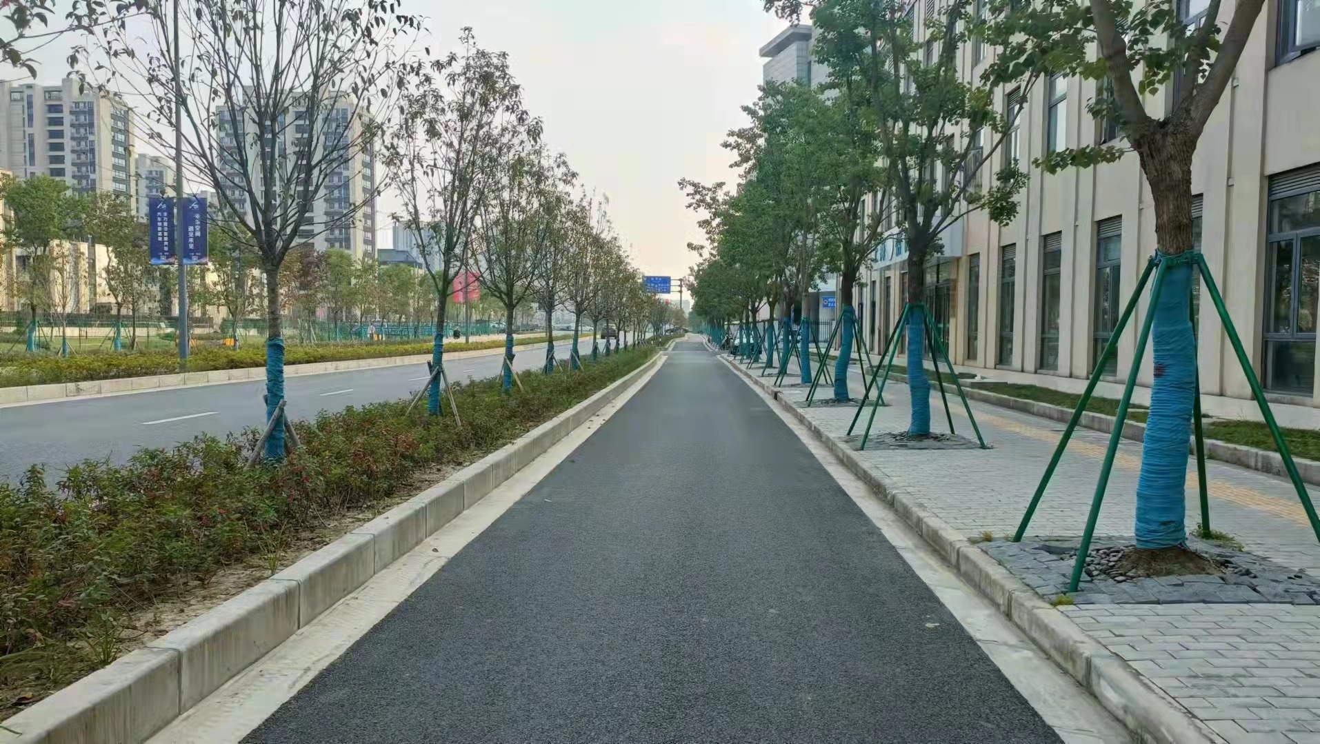 香港免费全年资料大全