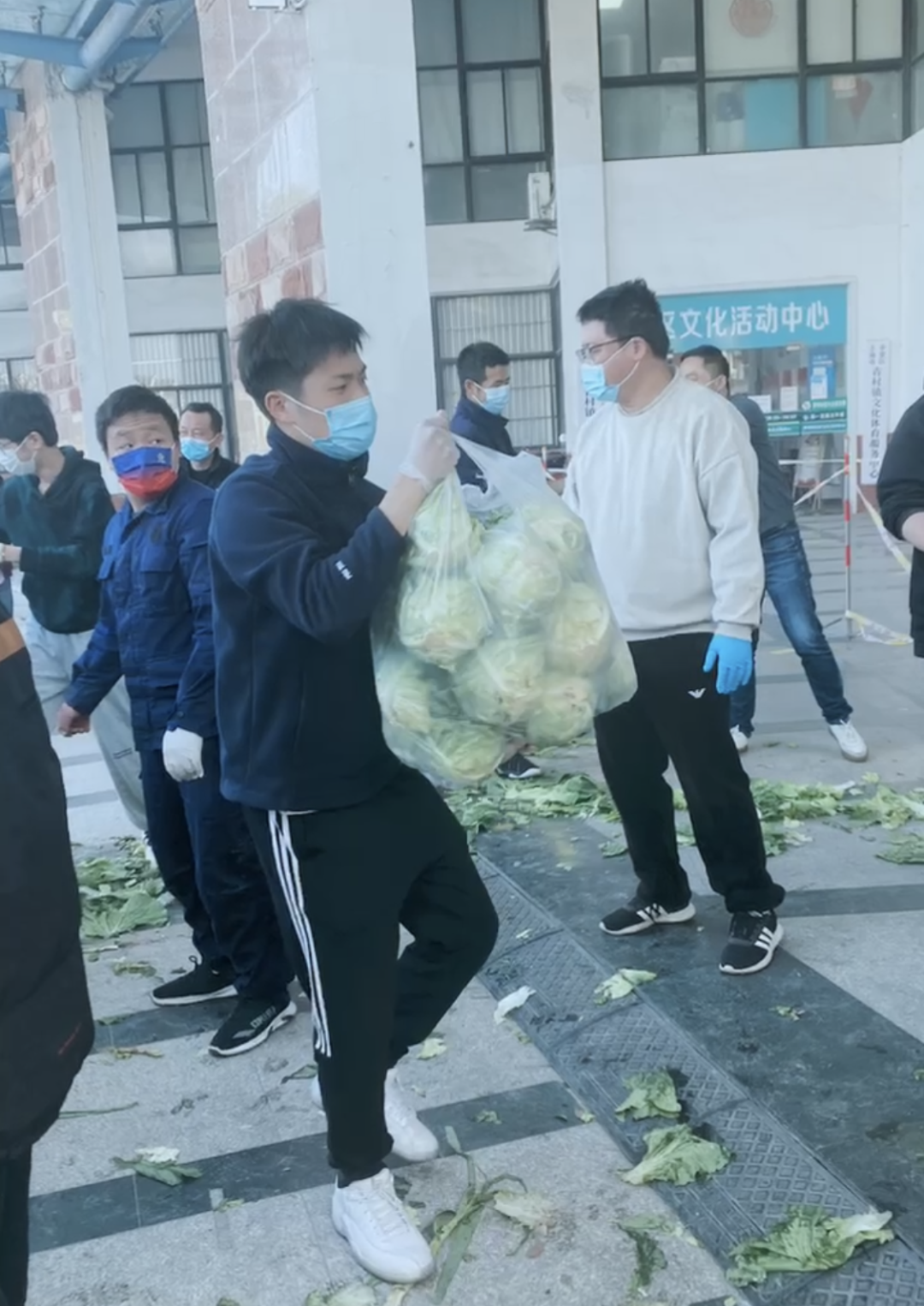 香港免费全年资料大全