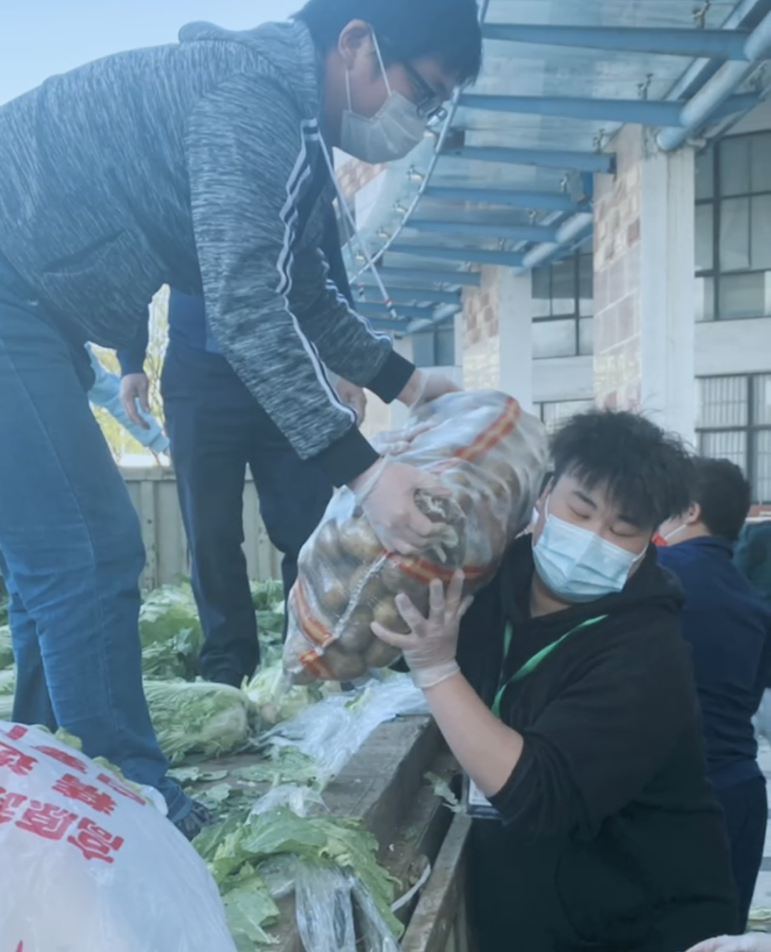 香港免费全年资料大全