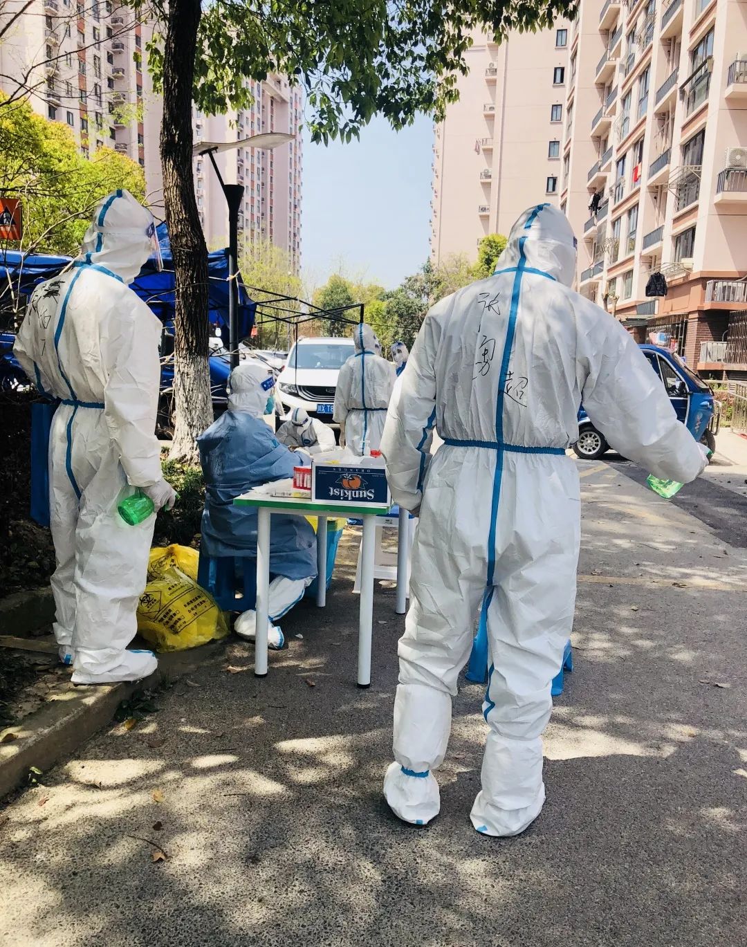 香港免费全年资料大全
